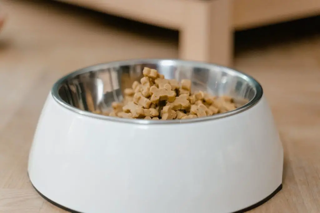 a photo of a dog food bowl to show the best food for American Bullies