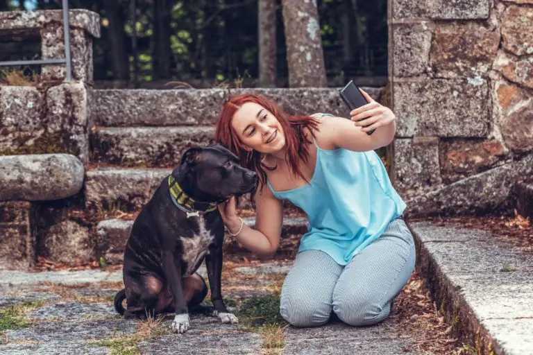 Do Pit Bulls Have a Favorite Person? 5 Tips For Every Pittie Owner