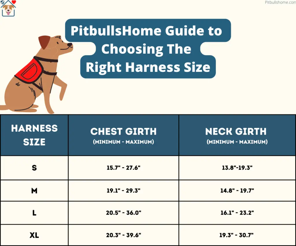 A guide to choosing the right harness size for bullies