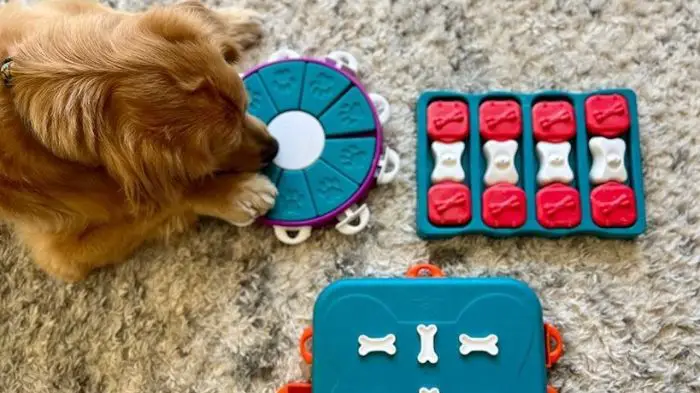 How to Choose the Greatest Puzzle Toy for Your Canine’s Personality and Breed?